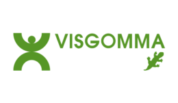 Visgomma